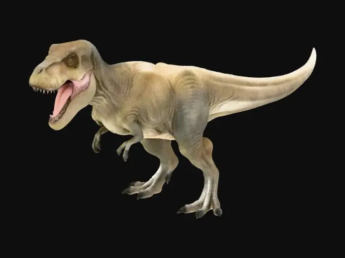 3D model for Rex