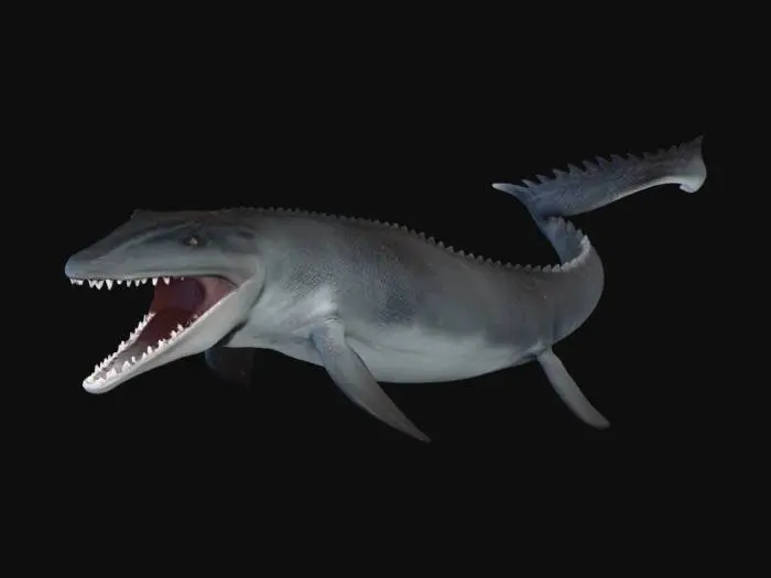 3D model for Mosasaurus