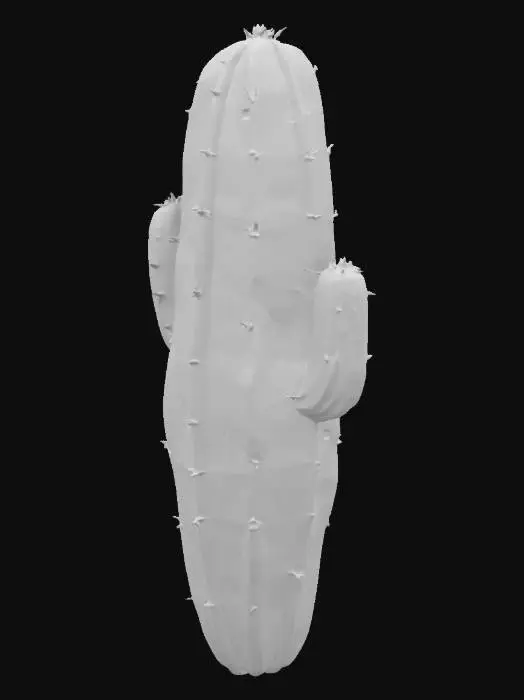 3D model for Cactus Glow