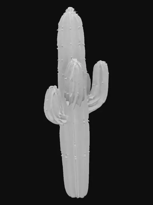 3D model for Cactus Glow