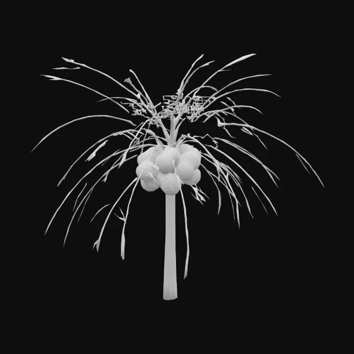 3D model for a tropical palm tree with coconuts, curved trunk and wide green leaves, realistic style, game ready, high resolution textures, UV unwrapped, PBR materials, clean mesh for game engines

