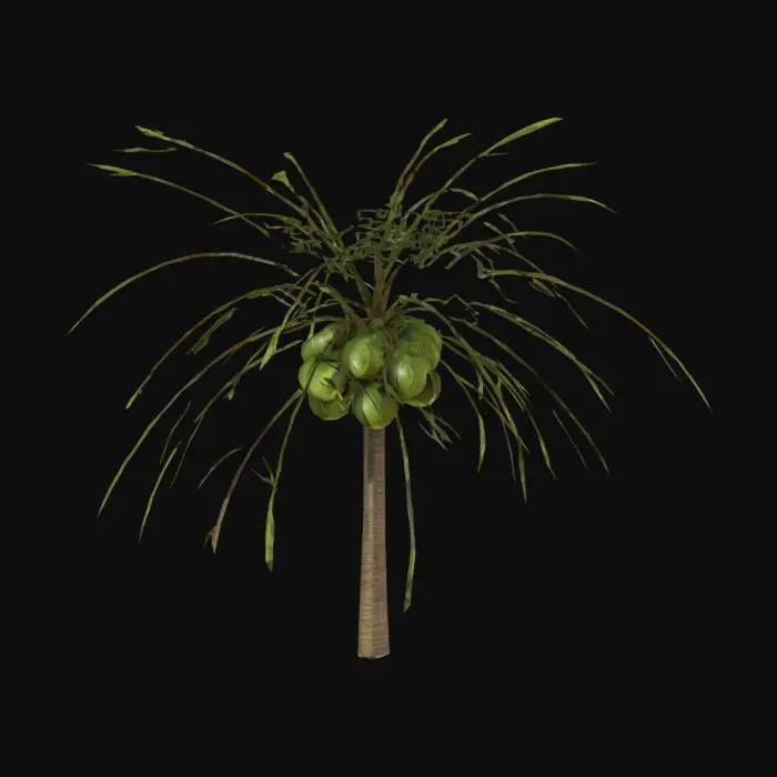 3D model for a tropical palm tree with coconuts, curved trunk and wide green leaves, realistic style, game ready, high resolution textures, UV unwrapped, PBR materials, clean mesh for game engines


