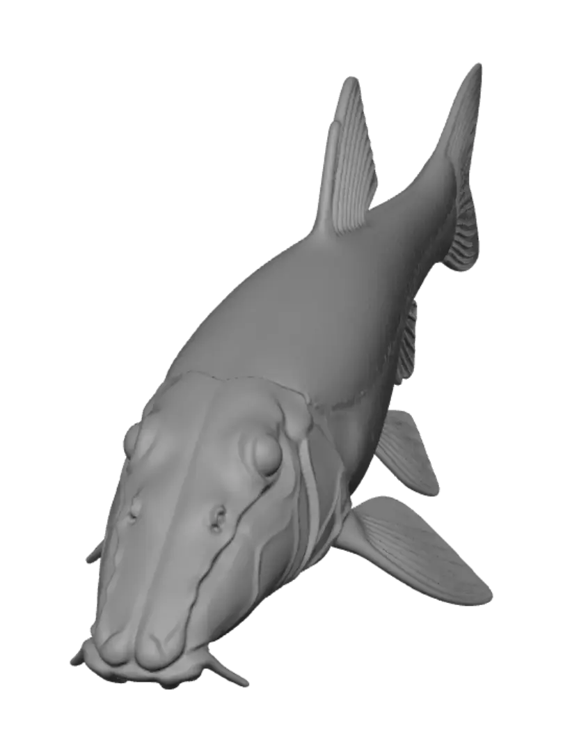 crocodile