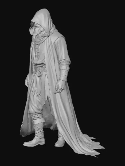 3D model for The Shadowed Wanderer