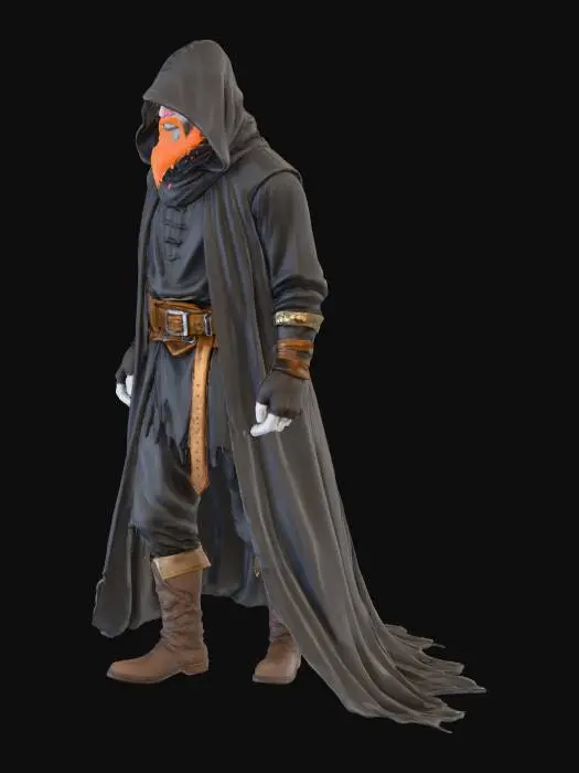 3D model for The Shadowed Wanderer