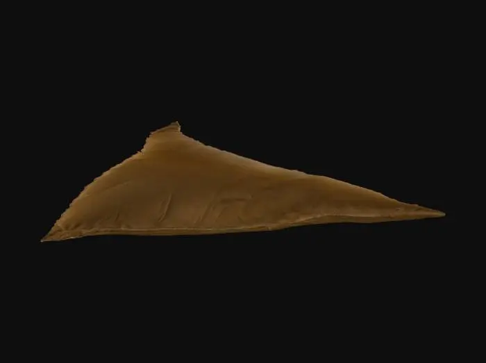 3D model for Black Fabric Triangle