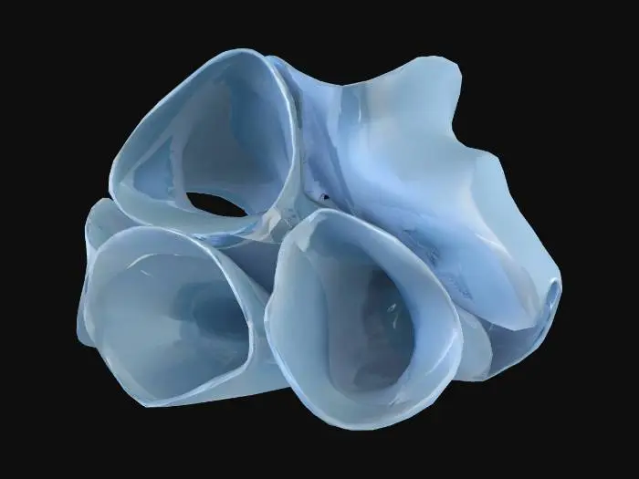 3D model for tunel aqua