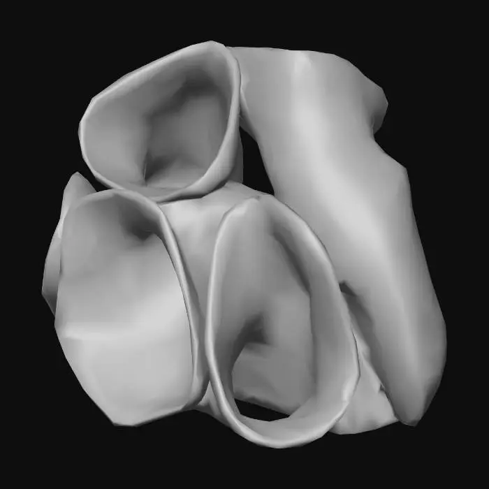 3D model for tunel aqua