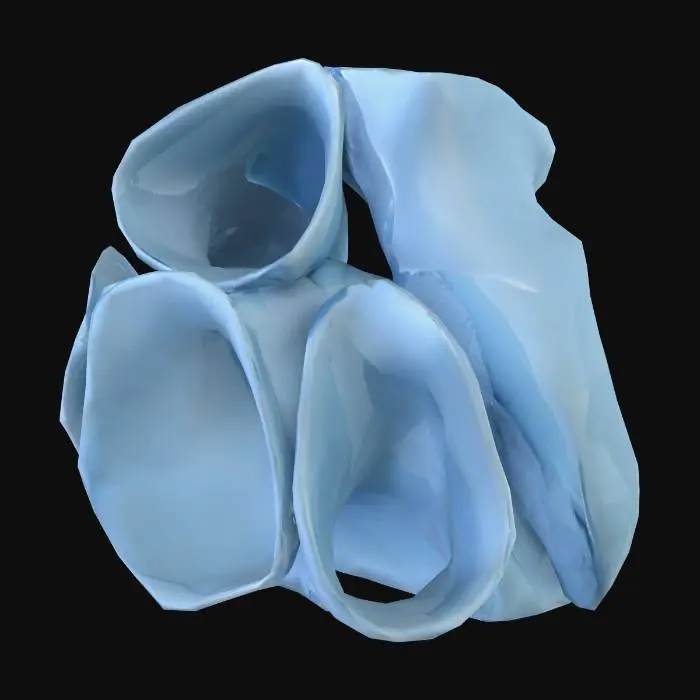 3D model for tunel aqua
