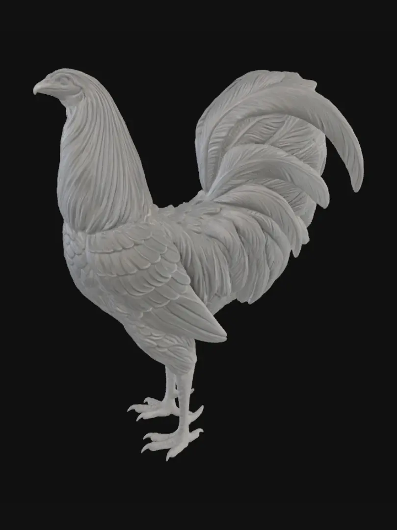rooster