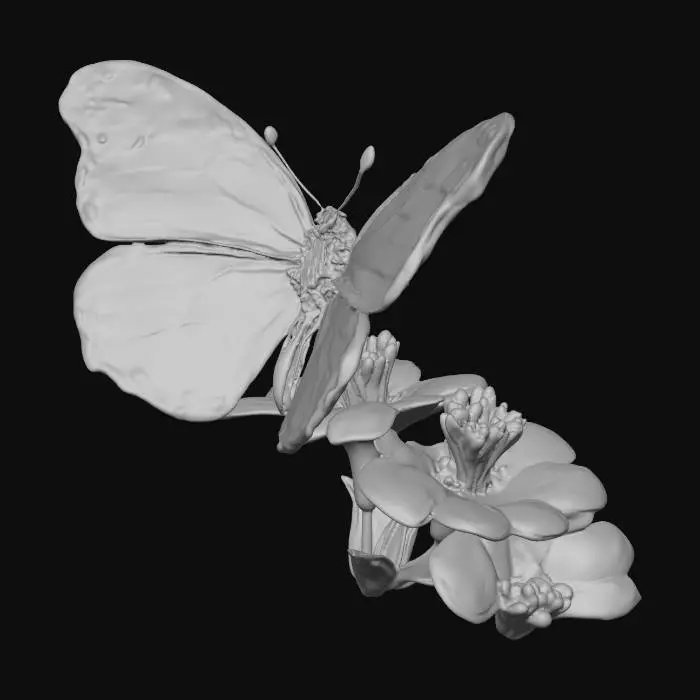3D model for butterfly