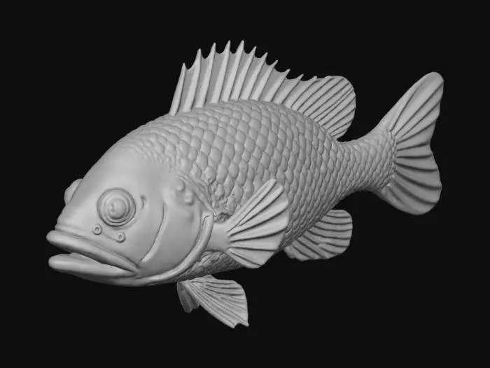 3D model for create a hyper realistic 3D model of a Red Grouper (Epinephelus morio). have it in a stationary position and do not make it shiny but give it a soft sheen