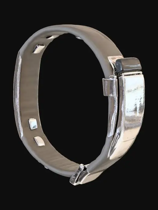 3D model for Fitness Tracker Band