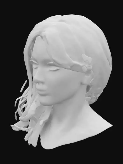 3D model for Female Face, Long hair, Beautiful eyelashes, Detailed, Skin, Female, Beauty, 4K, Structured, Symmetery
