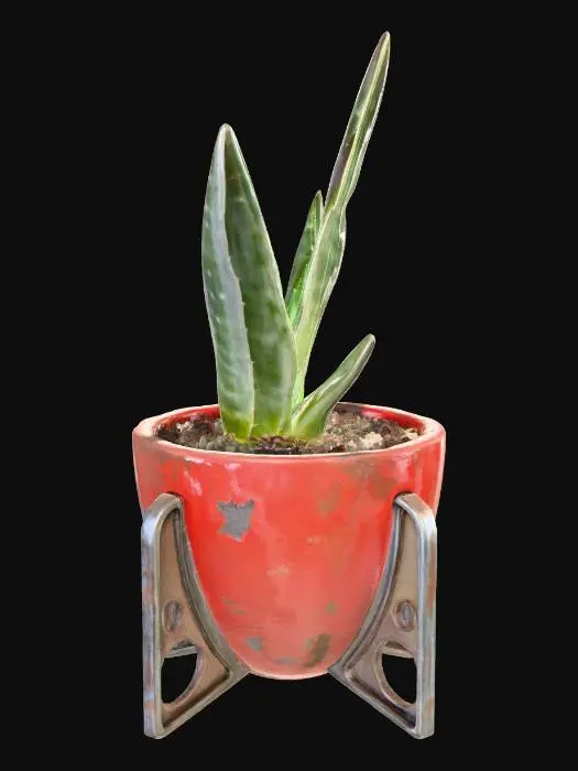 3D model for Succulent Stand
