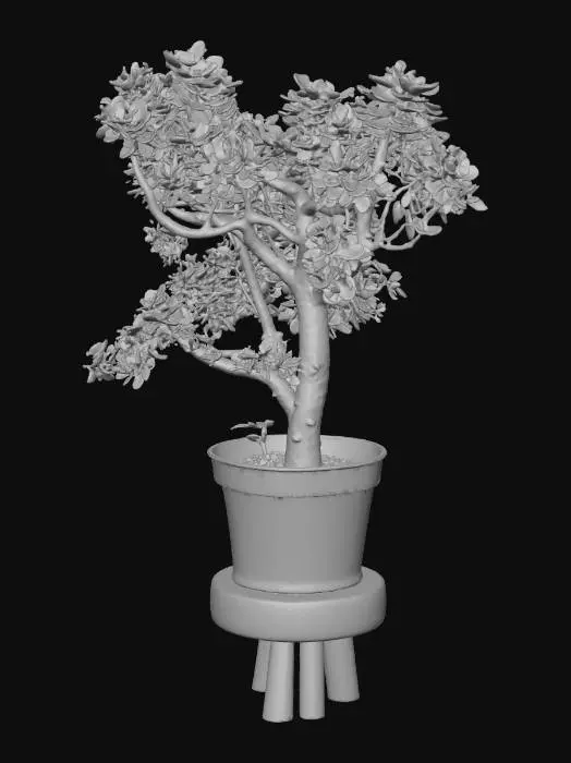 3D model for Jade Serenity