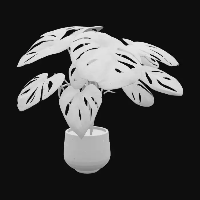 3D model for Monstera Harmony