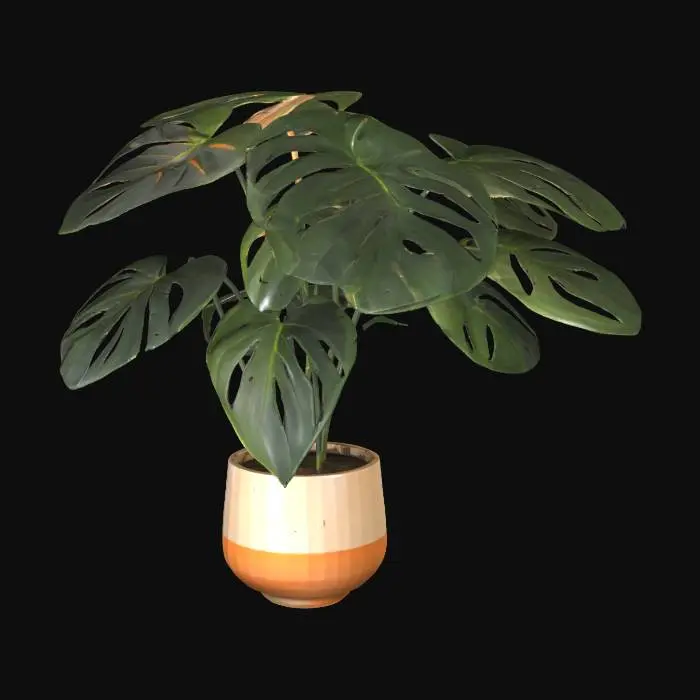 3D model for Monstera Harmony
