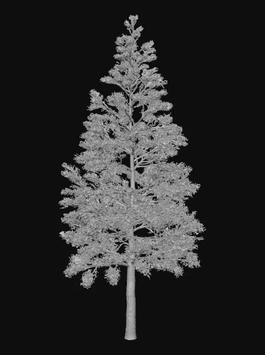 3D model for A snow covered, winter tree, no leaves, snow covers the branches delicately