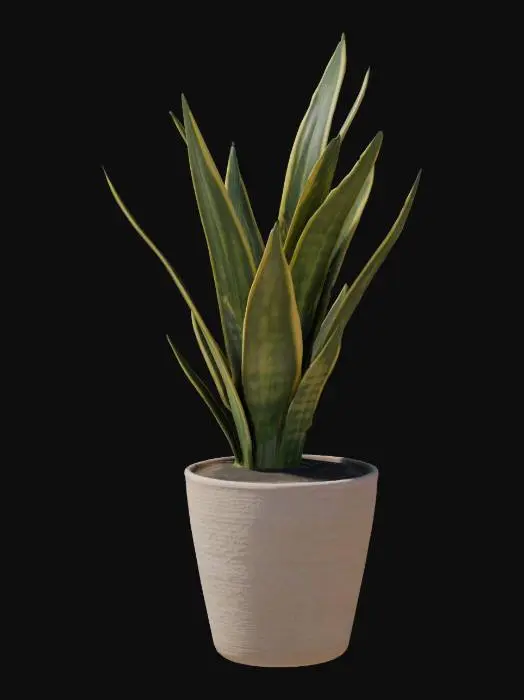 3D model for Serpent's Grace