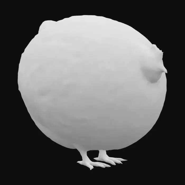 3D model for 圆鸡