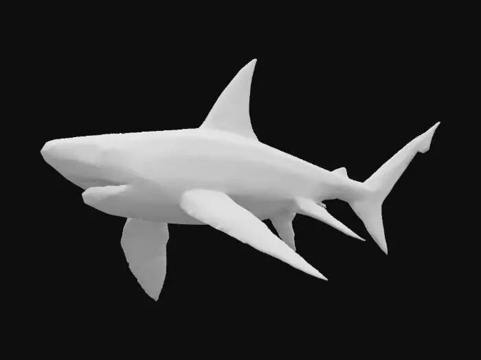 3D model for Geometric Shark, low poly, game asset, comic style, great white shark