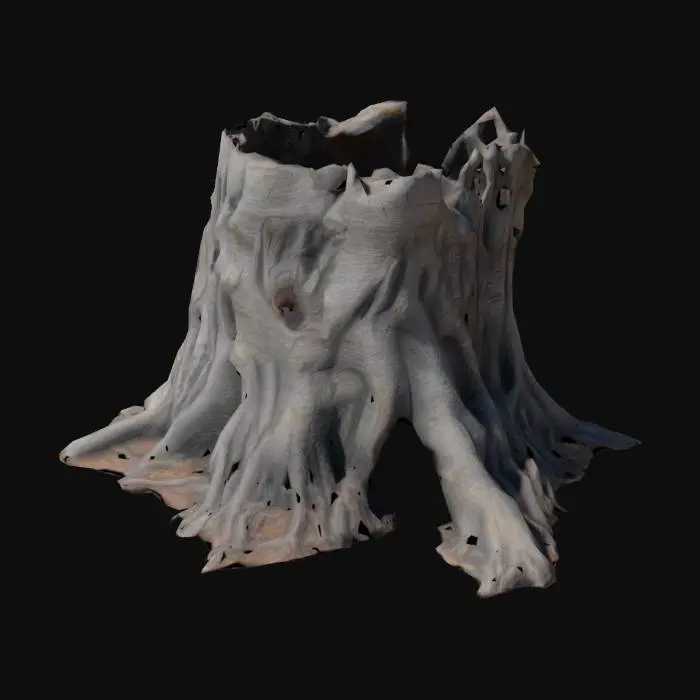 3D model for A massive ancient tree trunk, hollowed and broken at the top, with deep jagged cracks running along its weathered bark. The wood appears dry and aged, with intricate natural textures and rugged details. Thick, sprawling roots extend outward in twisted and gnarled formations, some partially uprooted, cracked, or broken. The tree's bark features a mix of smooth eroded surfaces and rough, deeply grooved areas, giving it an ancient and mystical appearance.