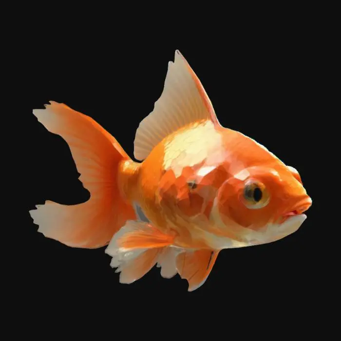 3D model for goldfisch, lowpoly