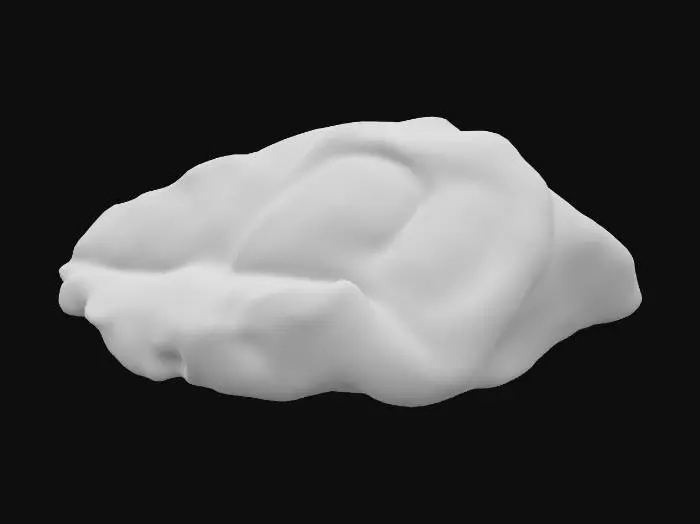 3D model for Raw Beef Steak
for pixalize game