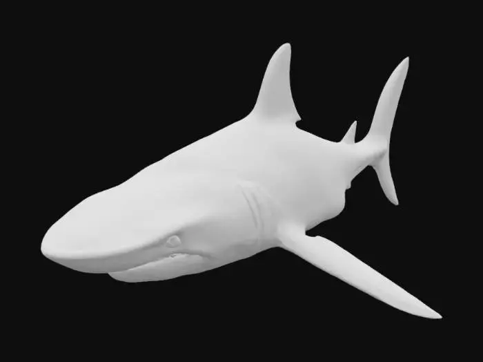 3D model for Крупная акула-молот, медленно патрулирующая глубины, ее кожа серо-голубого цвета. Кожа акулы шершавая, как наждачная бумага, плотная и мускулистая. Характерная голова в форме молота придает ей уникальный силуэт, а небольшие, темные глаза расположены по краям. Плавники жесткие и острые. Ее обтекаемая форма выглядит мощно и быстро. #ocean#