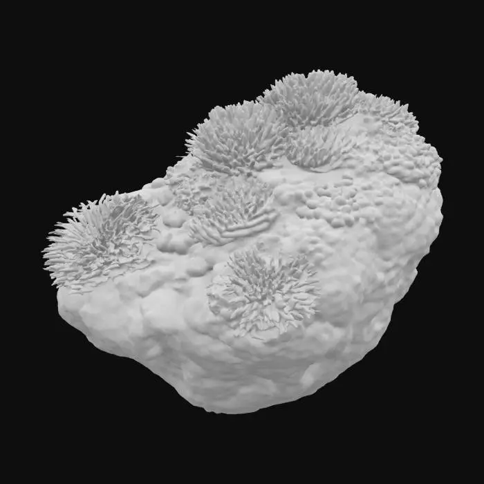 3D model for Рифовый монолит, часть подводной скалы, покрытая разноцветными живыми кораллами и анемонами. Каменная основа шершавая, пористая, с водорослями. Кораллы жесткие, пористые, с выступающими наростами, их цвета варьируются от ярко-красного до фиолетового и желтого. Анемоны мягкие, податливые, их щупальца колышутся. Монолит кажется неподвижным и живым. #ocean#