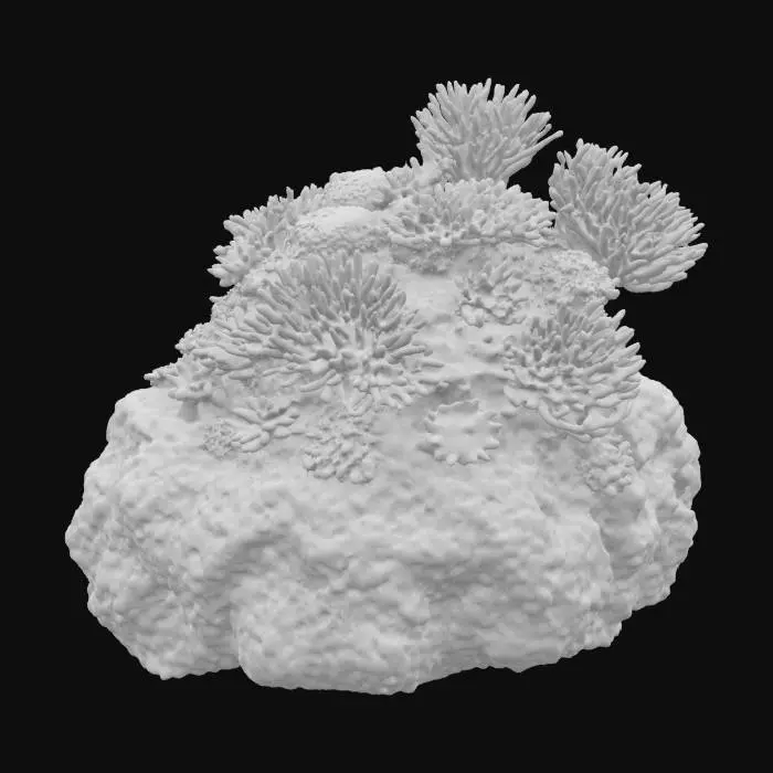 3D model for Рифовый монолит, часть подводной скалы, покрытая разноцветными живыми кораллами и анемонами. Каменная основа шершавая, пористая, с водорослями. Кораллы жесткие, пористые, с выступающими наростами, их цвета варьируются от ярко-красного до фиолетового и желтого. Анемоны мягкие, податливые, их щупальца колышутся. Монолит кажется неподвижным и живым. #ocean#