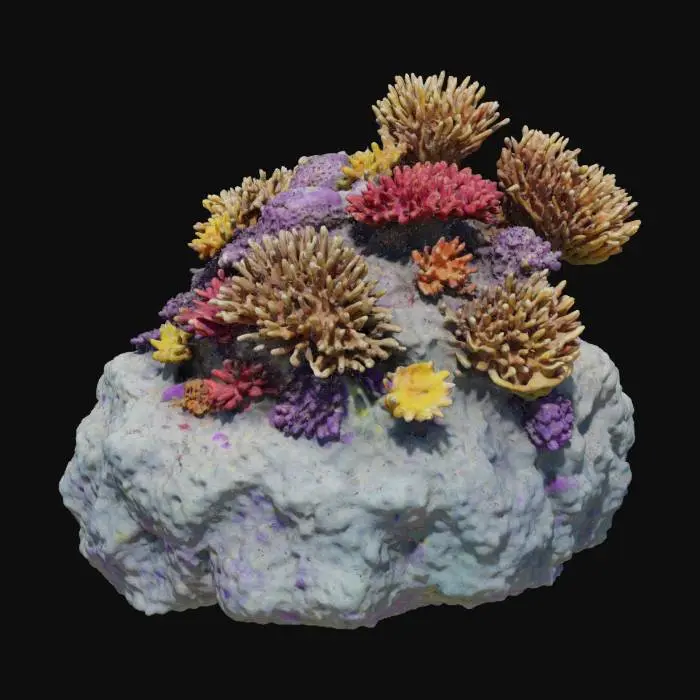 3D model for Рифовый монолит, часть подводной скалы, покрытая разноцветными живыми кораллами и анемонами. Каменная основа шершавая, пористая, с водорослями. Кораллы жесткие, пористые, с выступающими наростами, их цвета варьируются от ярко-красного до фиолетового и желтого. Анемоны мягкие, податливые, их щупальца колышутся. Монолит кажется неподвижным и живым. #ocean#