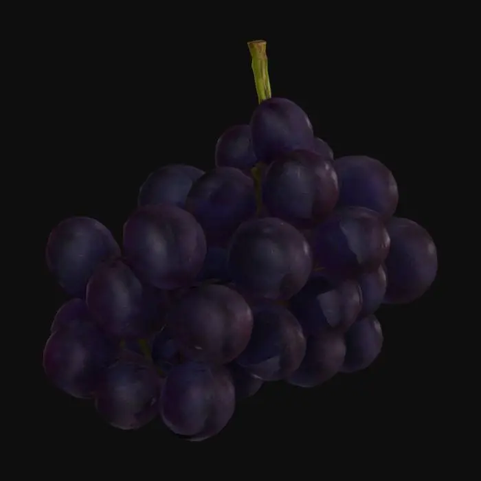 3D model for Grape