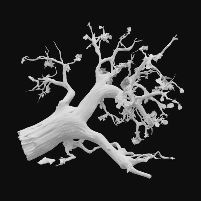 3D model for A fallen or broken tree with snapped branches, torn leaves, and broken trunk, as if damaged by a storm or natural disaster. Suitable for Unity 3D scene.