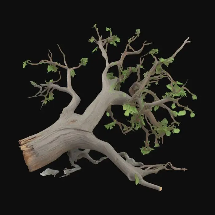 3D model for A fallen or broken tree with snapped branches, torn leaves, and broken trunk, as if damaged by a storm or natural disaster. Suitable for Unity 3D scene.