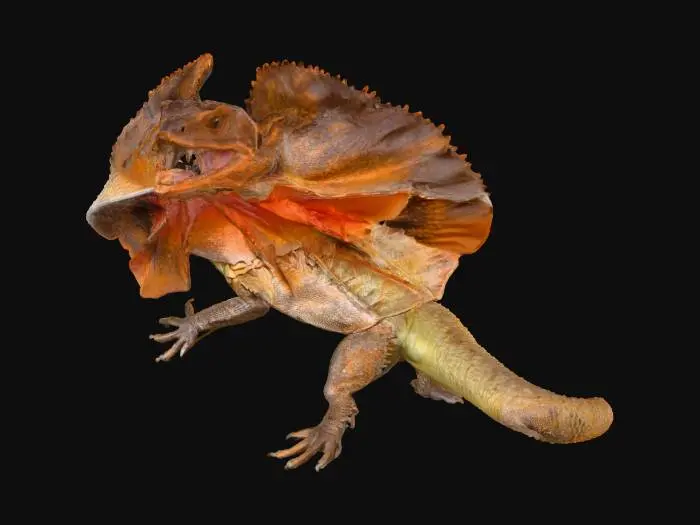 3D model for Frilled Majesty, #Halloween2025#