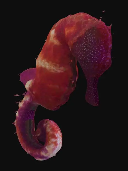3D model for Majestic Seahorse, #ocean#