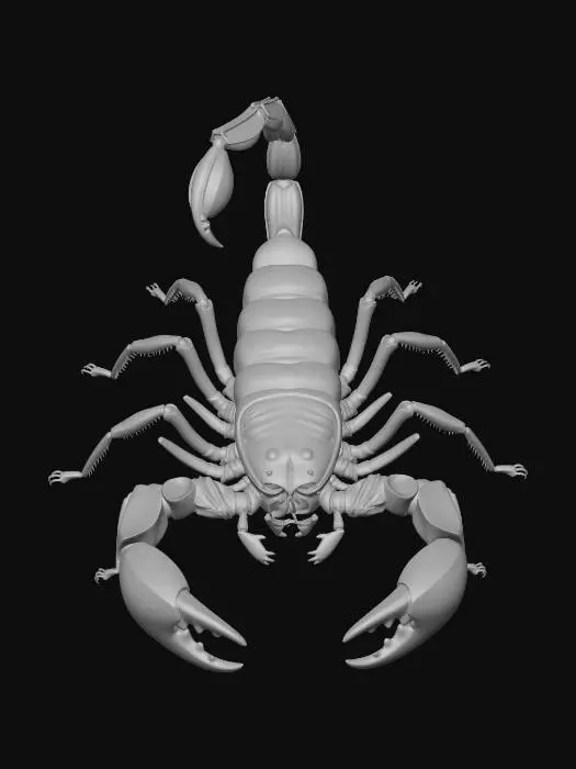 3D model for Midnight Scorpion on Sand