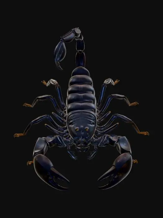3D model for Midnight Scorpion on Sand
