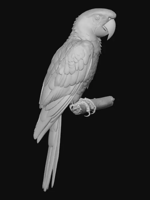 3D model for Scarlet Macaw