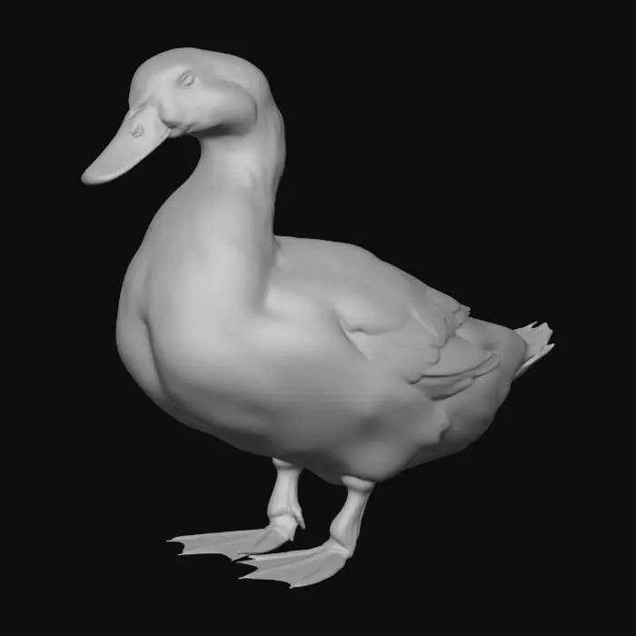 3D model for Snowy Pekin Duck