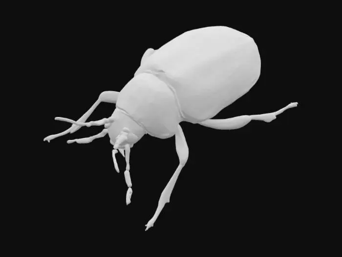 3D model for low poly beetle insect, hard shell, six legs, short antennae, 
