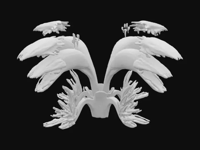 3D model for [Ukraine] Primachenko Carnivorous Bloom Fiesta, #AroundTheWorld#