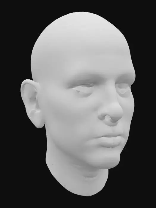 3D model for Pensive Portrait, #SketchTo3D#