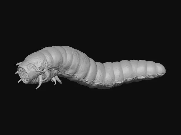 3D model for Large, predatory worm resembling terrestrial ragworms. Make sure it's not square or pixelated, make it realistic.