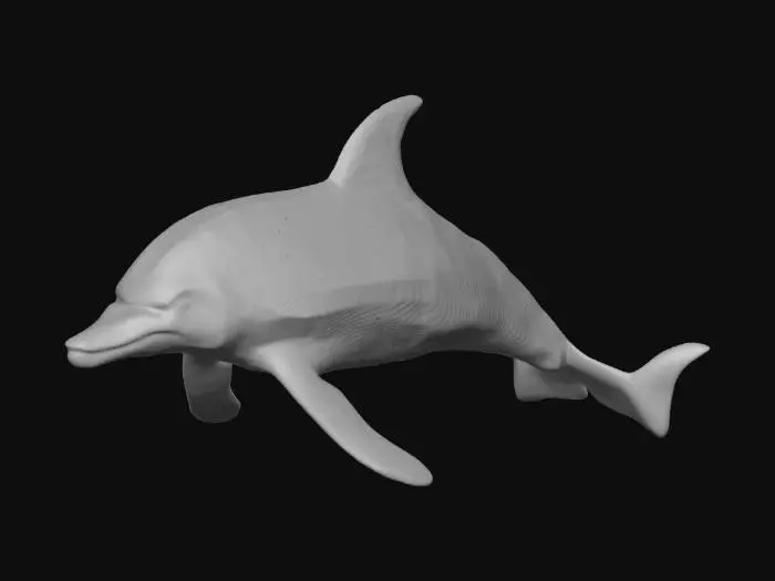 3D model for Dolphin Grace