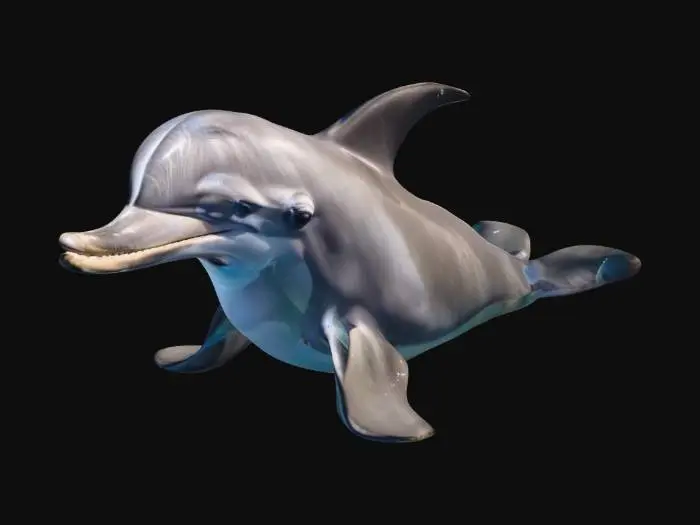 3D model for A dolphin sticking it's head put of water