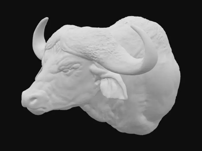 3D model for Buffalo Bust