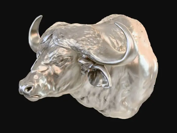 3D model for Buffalo Bust